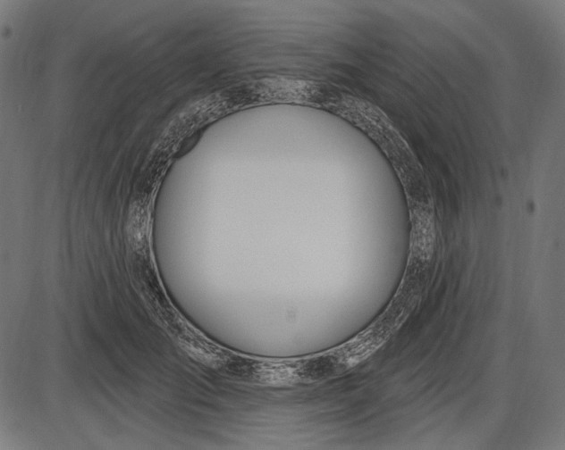 X0000086070701200704091235