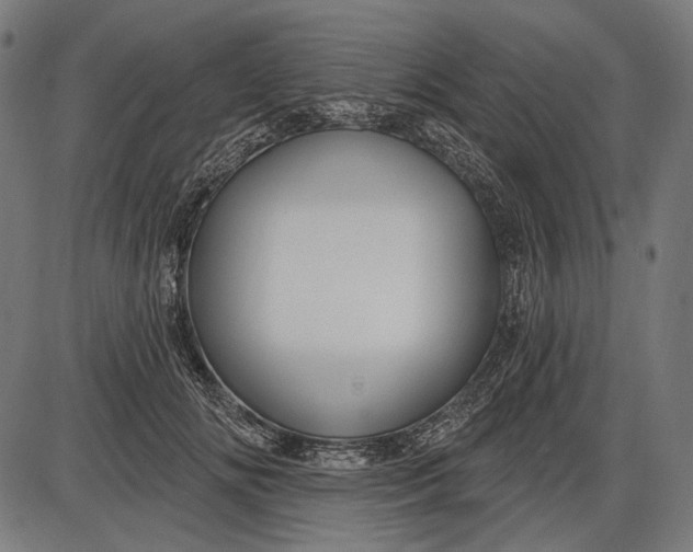 X0000086070702200704091235