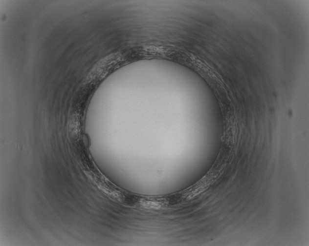 X0000086070706200704091235