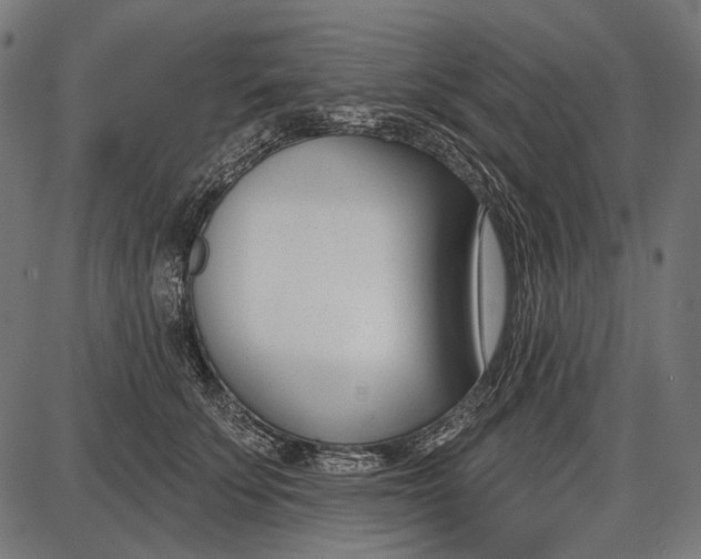 X0000086070707200704091235