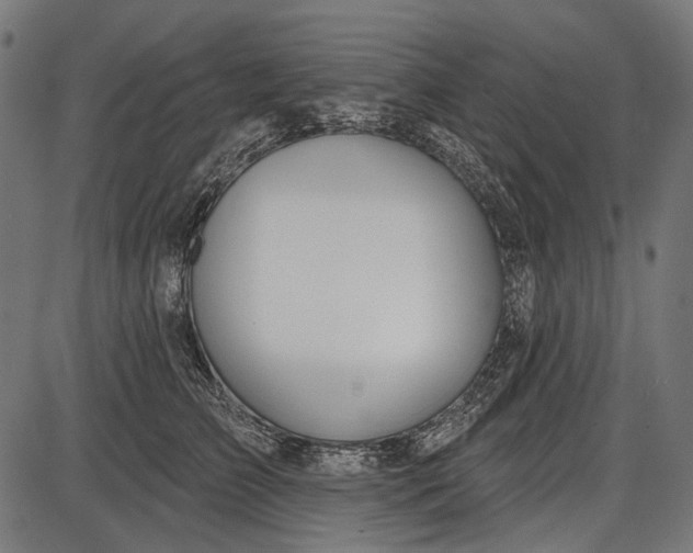 X0000086070709200704091235