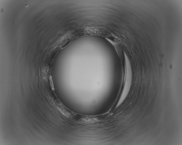 X0000086070712200704091235