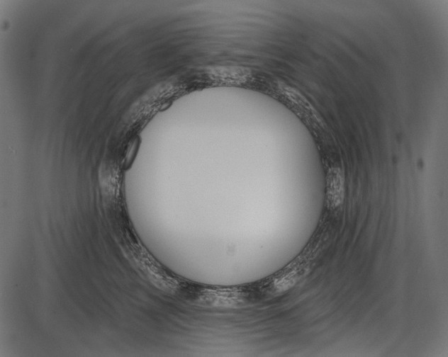 X0000086070713200704091235