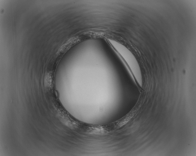 X0000086070715200704091235