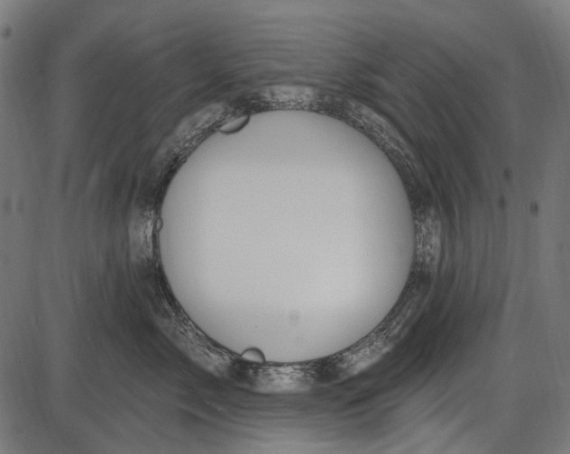 X0000086070717200704091235