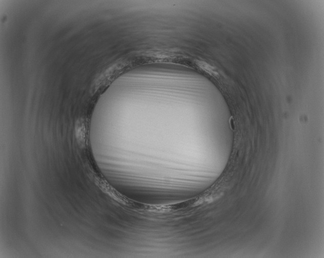 X0000086070720200704091235