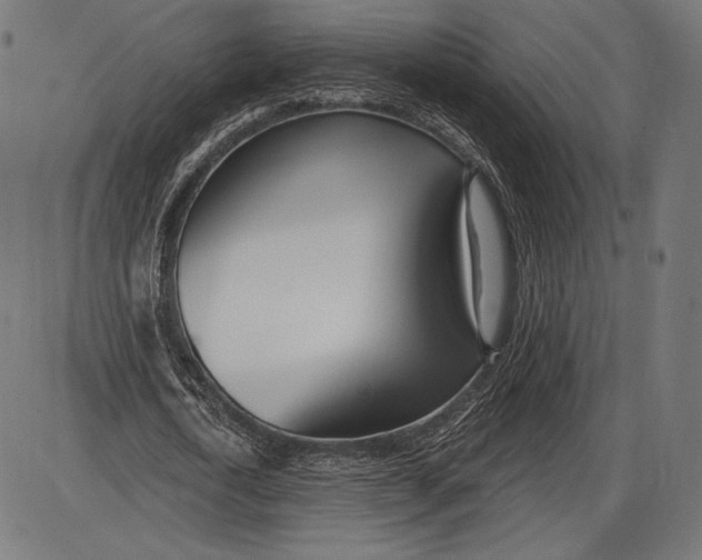X0000086070722200704091234