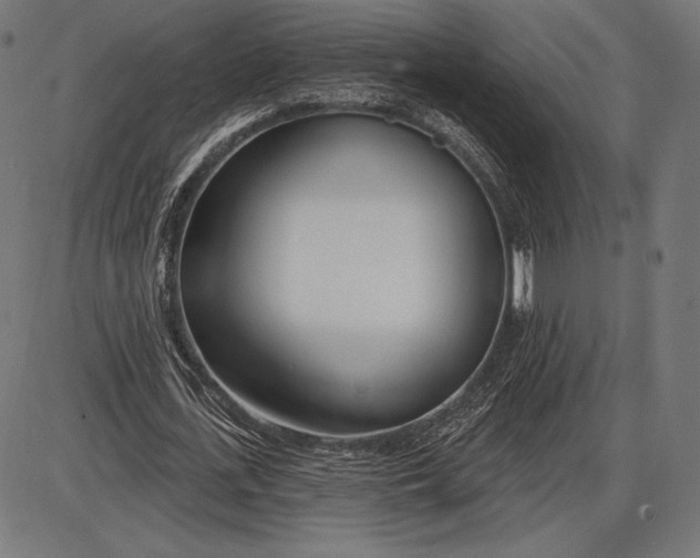 X0000086070723200704091234