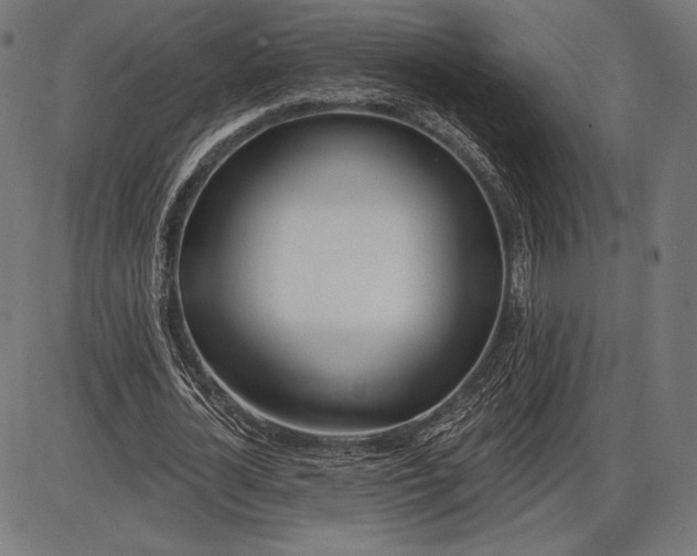 X0000086070724200704091234