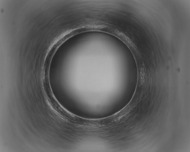 X0000086070726200704091234