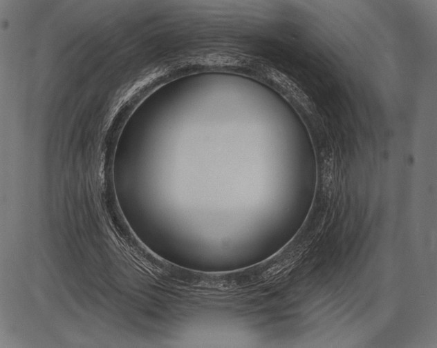 X0000086070727200704091234