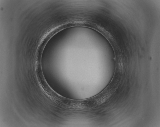 X0000086070728200704091234