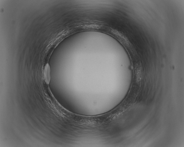 X0000086070729200704091234