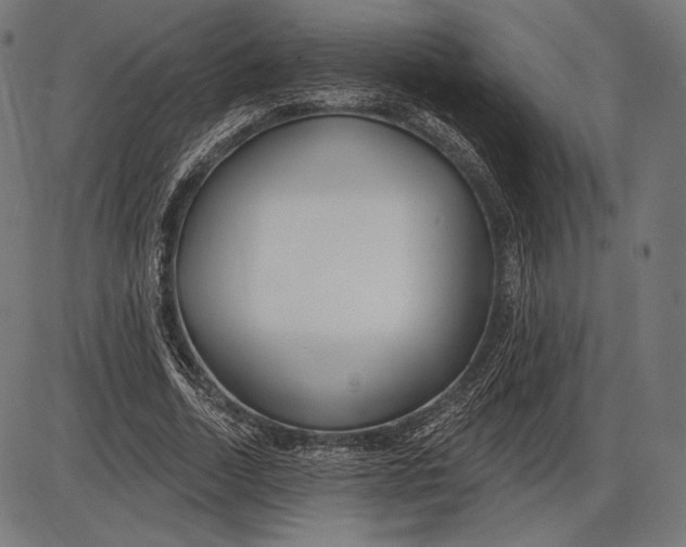 X0000086070730200704091234
