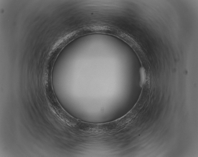 X0000086070732200704091235