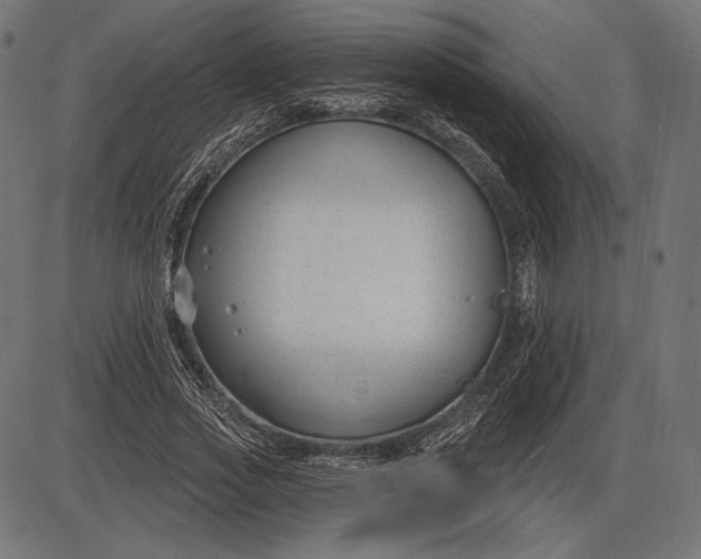 X0000086070733200704091235