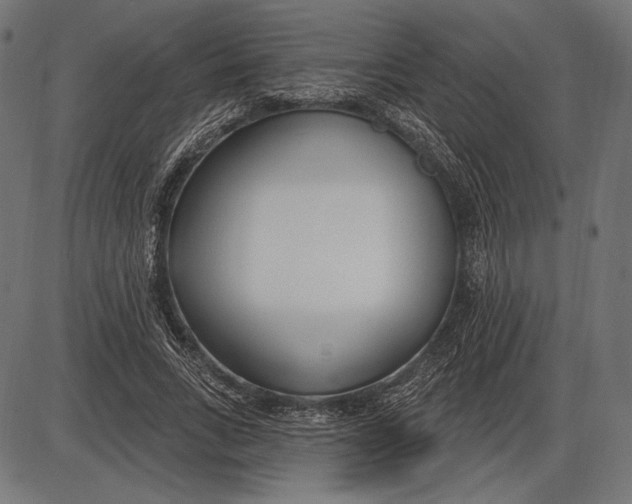 X0000086070735200704091235