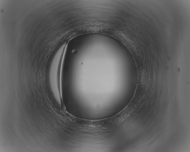 X0000086070737200704091235