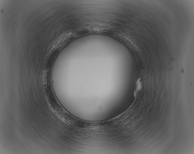 X0000086070738200704091235