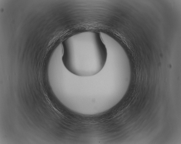 X0000086070740200704091235