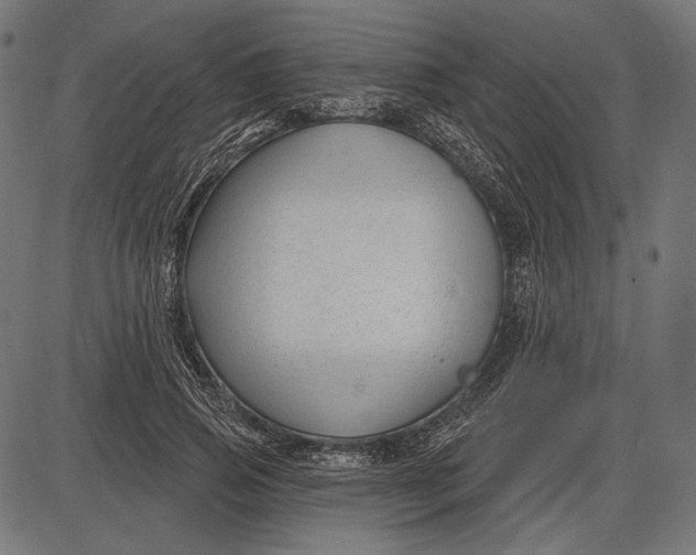 X0000086070741200704091235
