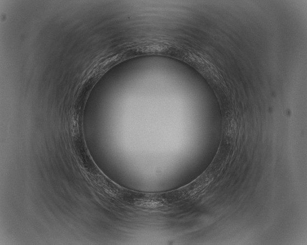 X0000086070743200704091235