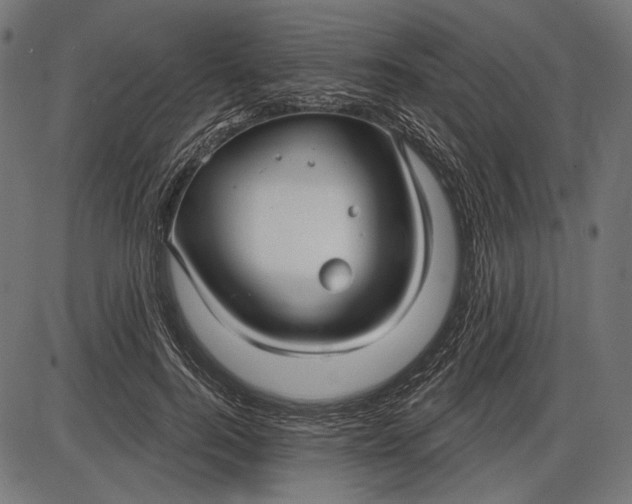 X0000086070744200704091235