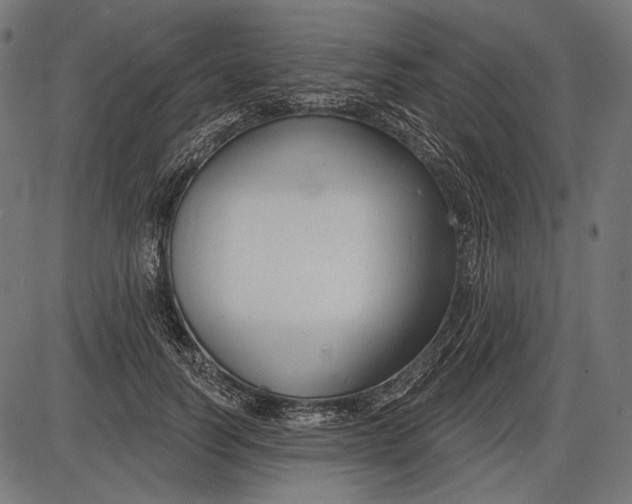 X0000086070746200704091235