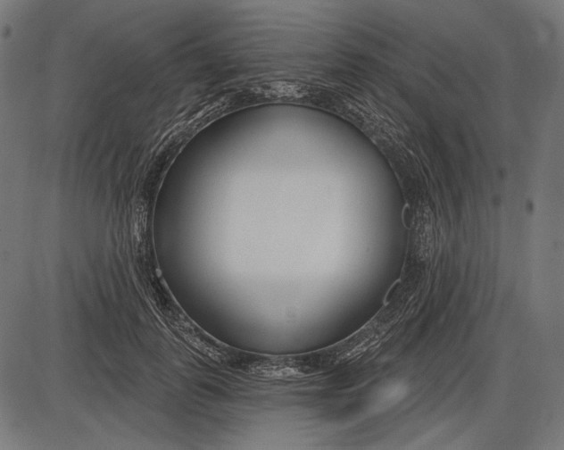 X0000086070747200704091235