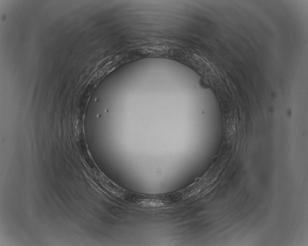 X0000086070749200704091235