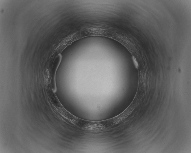 X0000086070752200704091235
