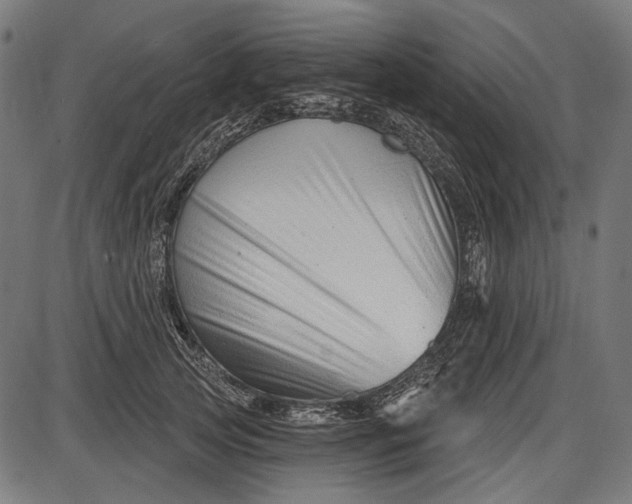 X0000086070753200704091235