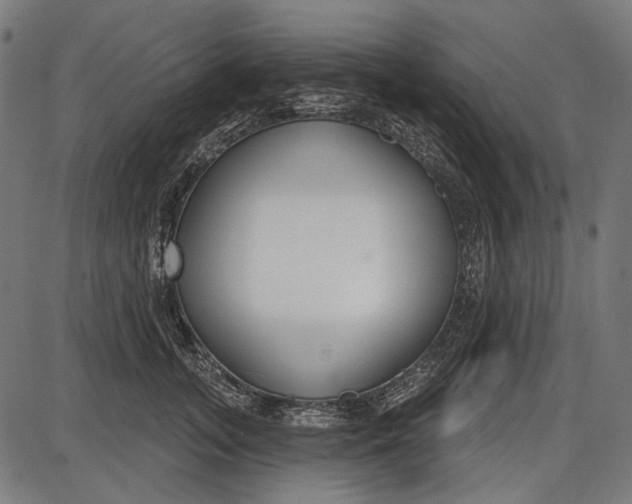X0000086070755200704091235