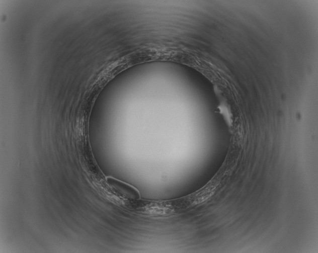 X0000086070756200704091235