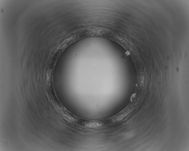 X0000086070759200704091235