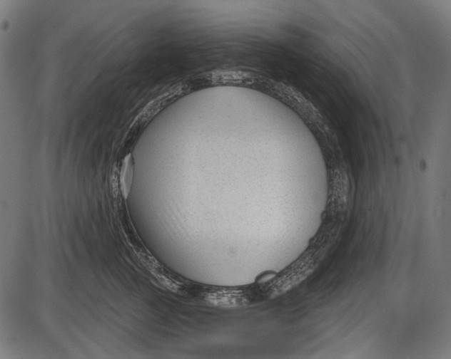 X0000086070761200704091235
