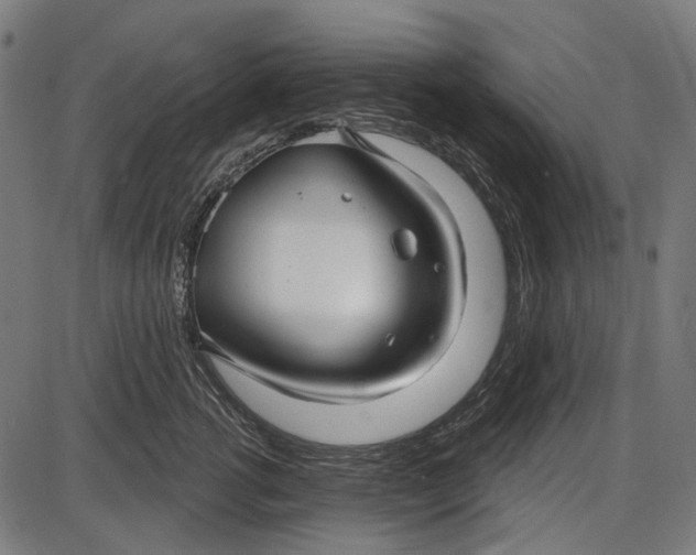 X0000086070762200704091235