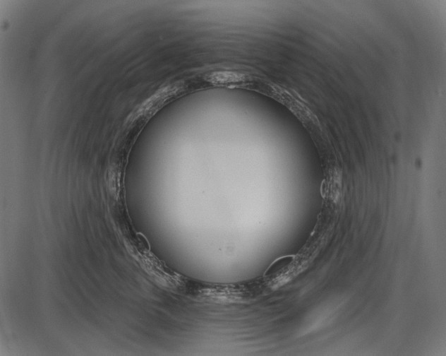 X0000086070763200704091235