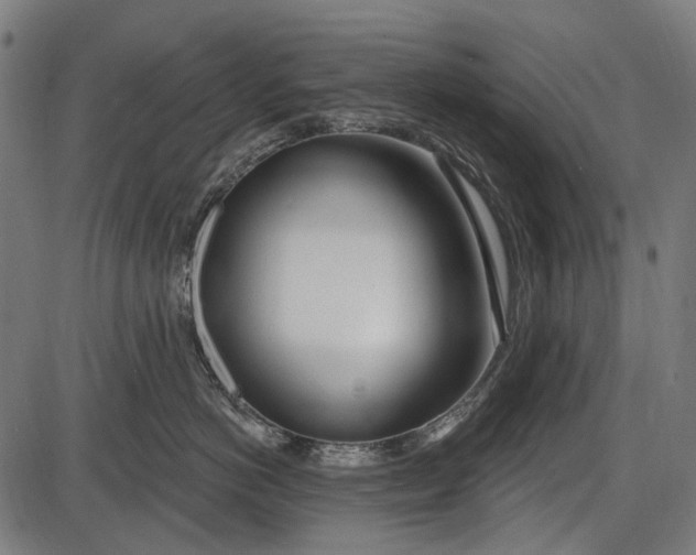 X0000086070766200704091235