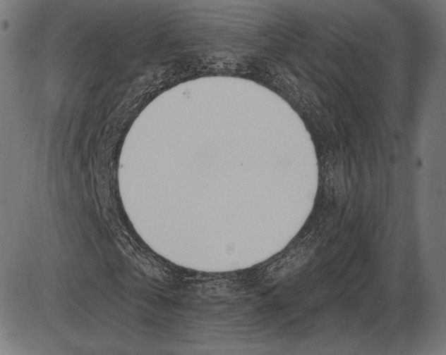 X0000086070769200704091234