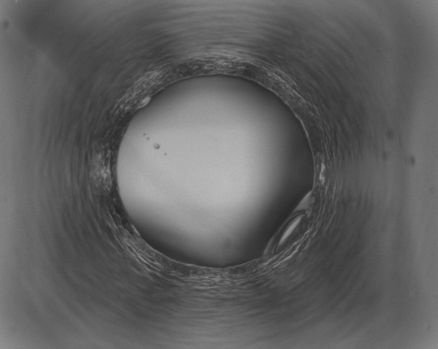 X0000086070771200704091234