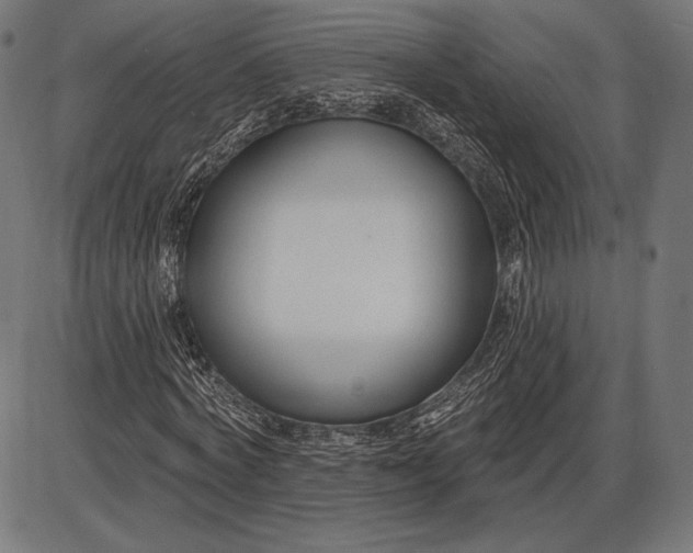 X0000086070772200704091234