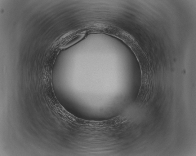 X0000086070773200704091234