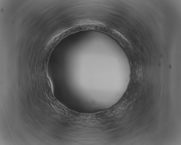 X0000086070775200704091234