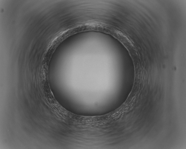 X0000086070776200704091234