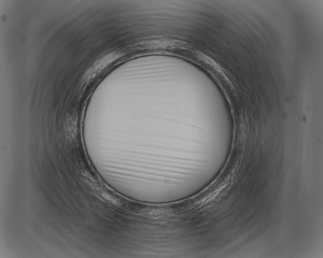 X0000086070778200704091234