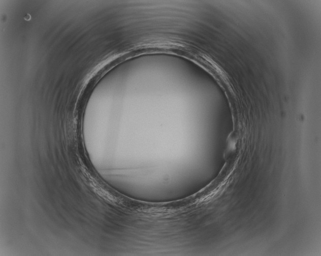 X0000086070779200704091234