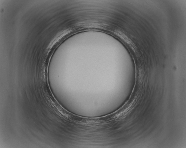 X0000086070782200704091234
