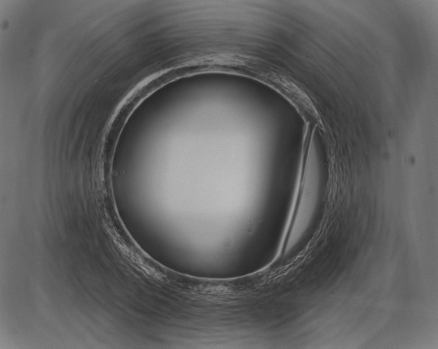 X0000086070784200704091234