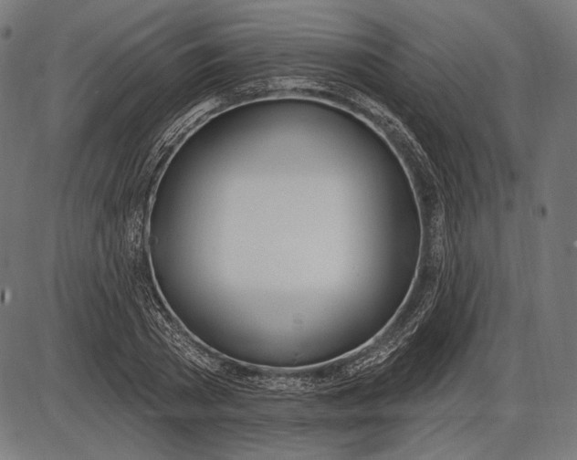 X0000086070785200704091234